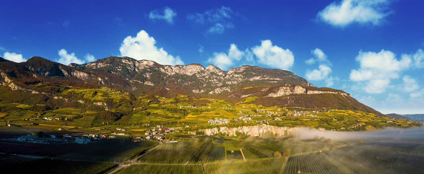 Vino e Alto Adige- 6 cantine per un’immersione totale nella bellezza