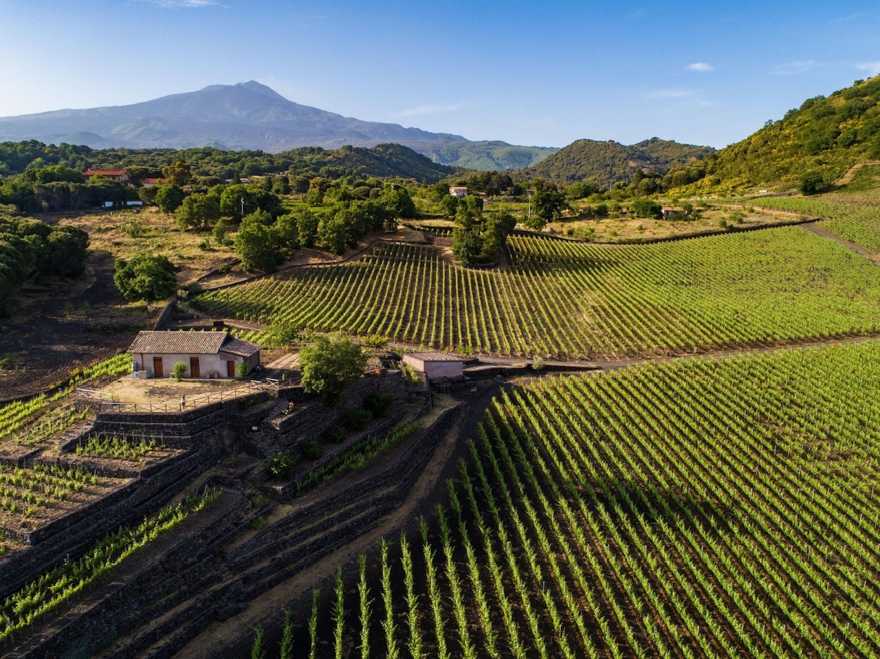 Etna in fermento: Serafica firma il suo spumante di montagna da Nerello Cappuccio