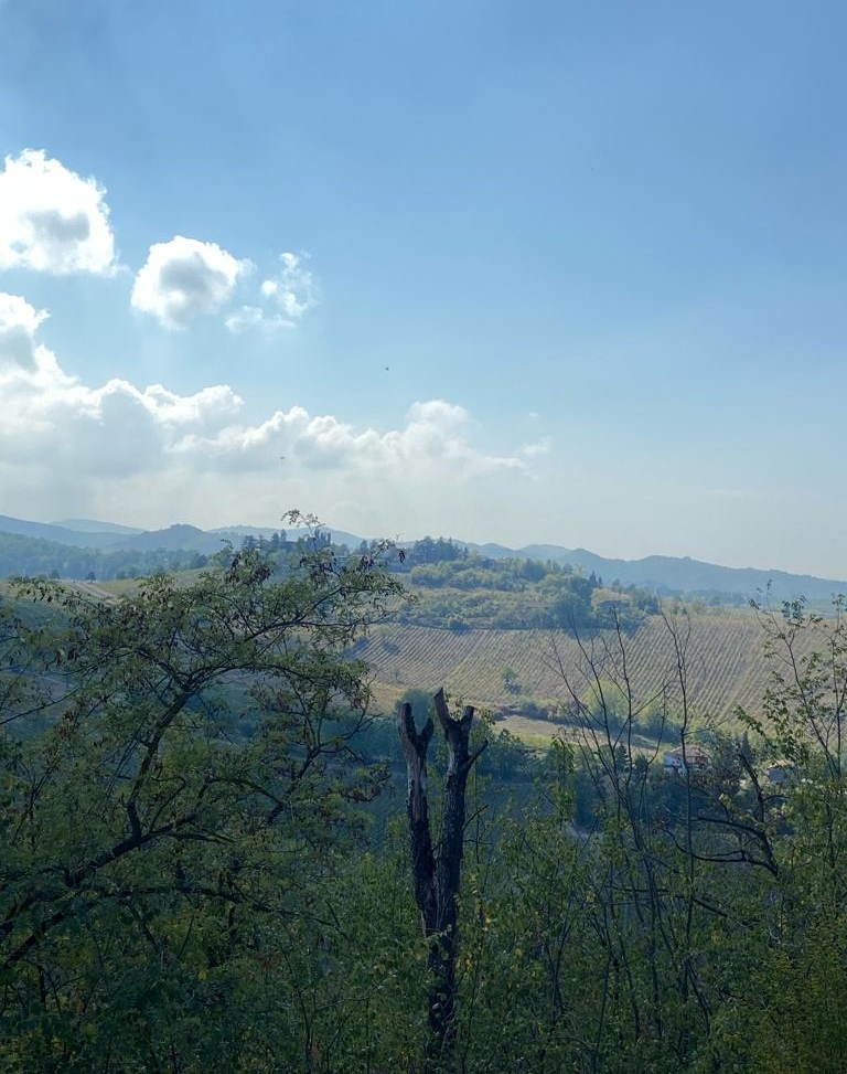 Dalla Sicilia all’Oltrepò Pavese. Cantine Ermes investe in terra di spumanti