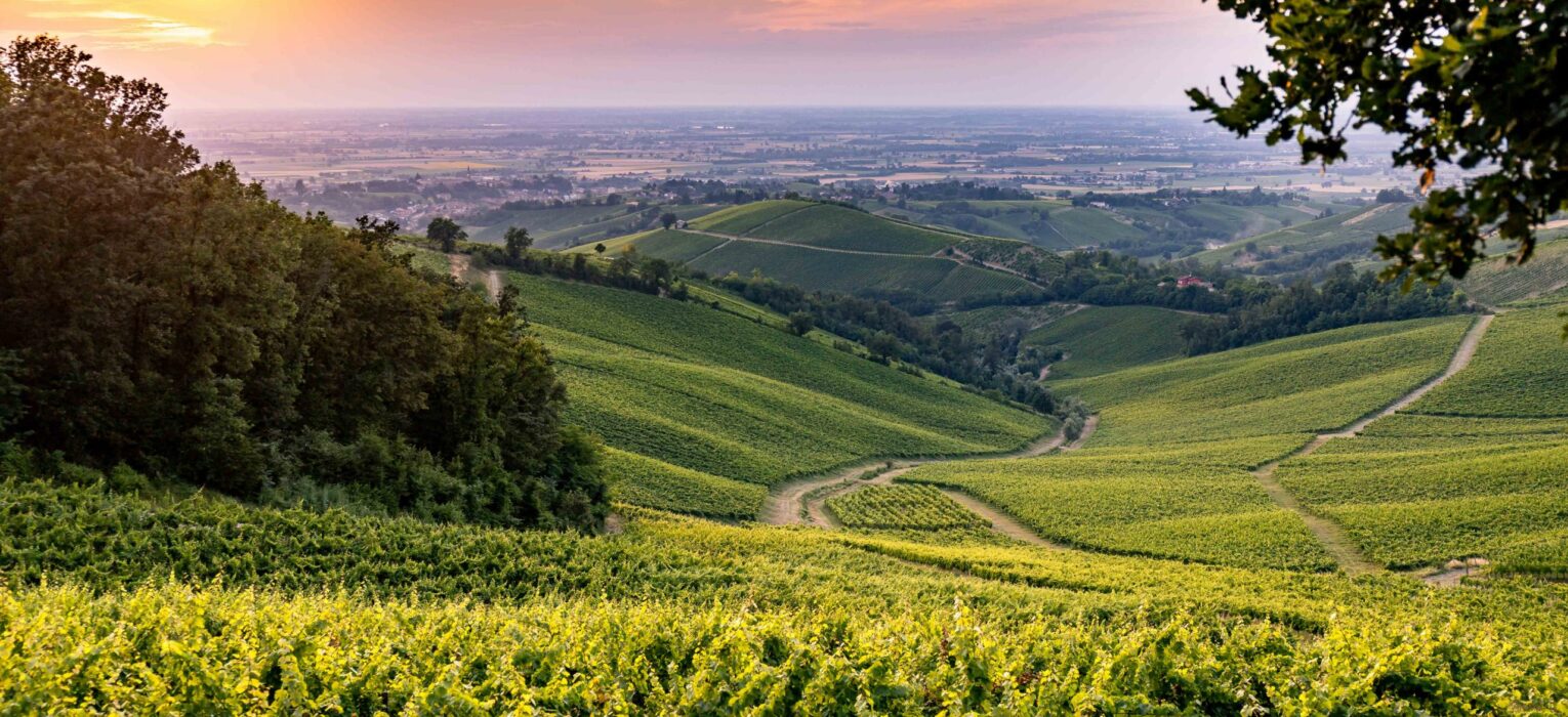 Al via la seconda edizione di Oltrepò Terra di Pinot Nero