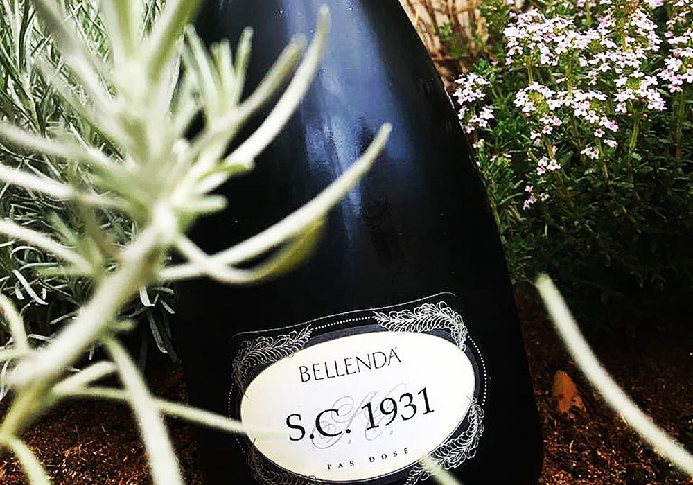 Bellenda firma S.C. 1931, il Prosecco Superiore Metodo Classico che cambia le carte in tavola