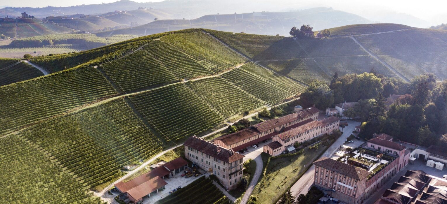 Rinascere si può: Fontanafredda lancia la sua idea di speranza con il Barolo Serralunga d’Alba Renaissance 2018