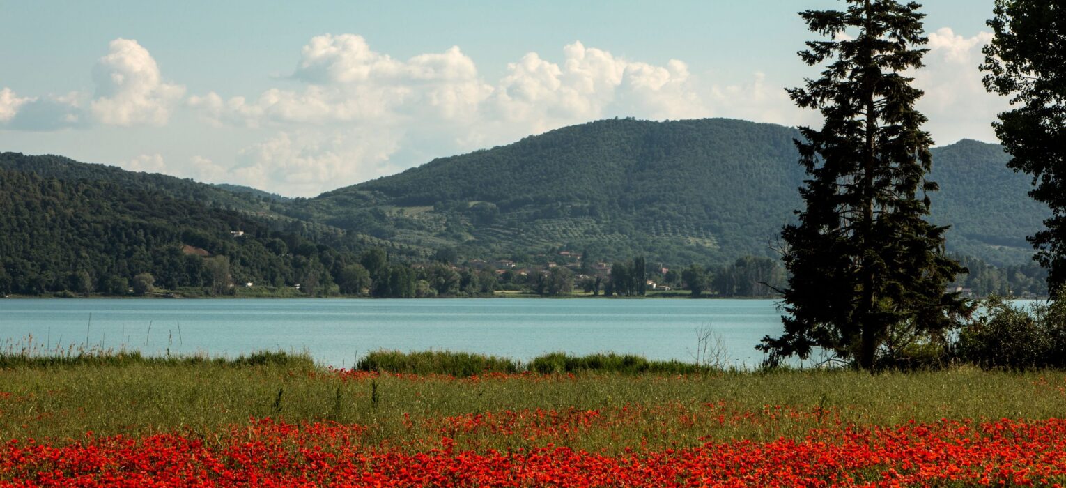 Il Consorzio Trasimeno propone il Trasimeno Gamay in anteprima assoluta a maggio